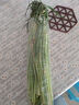 新鮮長(cháng)蒜苔30cm長(cháng)度粗細適中色澤飽滿(mǎn)高品質(zhì)生鮮蒜苔 蒜臺2斤 曬單實(shí)拍圖