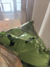 水培植物龜背竹盆栽老樁綠蘿大葉室內觀(guān)葉養桌面綠植耐陰好養常青 精品龜背竹55-60厘米3棵+營(yíng)養液 曬單實(shí)拍圖