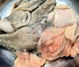 羊門宴 寧夏灘羊 原切羊肚羊腸2斤 生羊雜羊肉生鮮 火鍋燒烤 源頭直發(fā) 曬單實(shí)拍圖