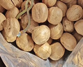 新邊界（new boundaries）薄皮核桃1500g 新疆特產(chǎn)阿克蘇核桃堅果炒貨手剝原味量販 曬單實拍圖