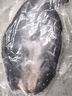 往牧叉尾鮰魚 三去開背 青江魚烤魚  腌制半成品 冷凍生鮮 江團魚 特大凈重2.2-2.6斤 曬單實拍圖