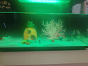 米家（MIJIA）智能生態(tài)魚缸還原自然生態(tài)智能魚缸+米家生化濾芯 曬單實(shí)拍圖