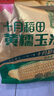 十月稻田 黃糯玉米 3.52斤(220g*8根) 25年新玉米 低脂 早餐零食 東北玉米 曬單實(shí)拍圖