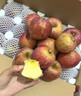 黃六爺2025云南昭通丑蘋(píng)果新鮮昭通市冰糖心丑蘋(píng)果紅富士水果當季整箱 3斤 70mm-75mm 【中果】又脆又甜 曬單實(shí)拍圖