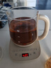 小熊（Bear）養(yǎng)生壺 煮茶壺 恒溫水壺 保溫燒水一體智能電熱水壺花茶壺燒水壺 11檔保溫 1.5L大容量 YSH-J15Z7 曬單實拍圖