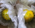 京府香園東北香瓜八里香花蕾甜瓜花姑娘新鮮脆甜應季多汁蜜瓜現摘水果整箱 精選5斤裝 曬單實(shí)拍圖