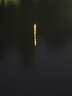 夜光漂超亮醒目日夜兩用三目加粗咬鉤變色電子浮漂路滑鯽魚(yú)漂夜釣 淺香YS-03(吃鉛3.0g)-三目加粗 單支(咬鉤變紅)配電池1顆 曬單實(shí)拍圖