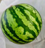 【產(chǎn)地直采】麒麟奶油西瓜 約4.5kg 曬單實拍圖