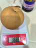 三萌果蔬山東秋月梨新鮮水果萊陽(yáng)冰糖梨當季新鮮水果中秋送禮送人整箱 5斤甄選果王【單果約350g+】?jì)糁?.5斤 曬單實(shí)拍圖