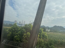 小米（MI）手環(huán)10 標(biāo)準(zhǔn)版銀色 國家補(bǔ)貼 智能手環(huán) 專業(yè)運(yùn)動(dòng)健康 監(jiān)測(cè)睡眠管理 心率血氧長續(xù)航運(yùn)動(dòng) 曬單實(shí)拍圖