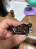 壹得利核桃枸杞桑葚黑芝麻丸糕點(diǎn)心芝麻丸無(wú)蔗糖休閑零食500g約75包 曬單實(shí)拍圖