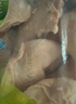 心領(lǐng)鮮[泰森品控]生鮮冷凍雞肉 雞全腿4斤 燒烤食材烤雞腿炸雞腿 曬單實(shí)拍圖