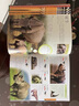 DK兒童恐龍百科全書(2023新版)暑假作業(yè) 一升二暑假銜接 小升初暑假銜接 曬單實拍圖