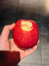 正宗雪原3星特級大果蘋(píng)果禮盒新鮮1星整箱雪原紅脆甜源頭批發(fā)檔口 1盒 85-90mm3星特級果約7.5斤 曬單實(shí)拍圖