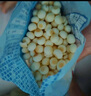 小鹿藍(lán)藍(lán)高鈣高鐵高鋅奶香小饅頭兒童零食無添加蔗糖新西蘭進(jìn)口乳粉 奶香小饅頭65g*1袋 曬單實(shí)拍圖