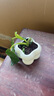 佰花錦辦公桌面綠植盆栽發(fā)財樹(shù)室內客廳奶油風(fēng)網(wǎng)紅盆景精致美觀(guān)四季好養 金鉆+PVC白泡泡盆 整體高度約15-25cm 曬單實(shí)拍圖