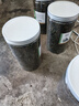 蒲公英茶500g長(cháng)白山婆婆丁浦公英葉中藥材干草泡水喝的 蒲公英【2罐】共500克 優(yōu)質(zhì)無(wú)硫 曬單實(shí)拍圖