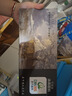 青竹畫(huà)材（CHINJOO）18色12ml油畫(huà)套裝國畫(huà)顏料兒童學(xué)生初學(xué)者練習裝美術(shù)寫(xiě)生 曬單實(shí)拍圖