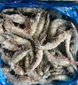 Member's Mark 泰國進(jìn)口 生冷凍黑虎蝦 2kg (約31-40只/每千克) 2kg(凈重) 曬單實(shí)拍圖