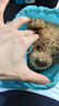 Jellycat巴塞羅熊動物毛絨玩偶兒童安撫公仔小熊潮玩生日新婚禮物 巴塞羅熊 Large 曬單實拍圖