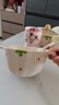 少女心草莓雙耳碗勺湯碗沙拉碗飯碗家用碗高顏值年輕人釉下彩餐具 雙耳碗隨機（1碗1勺） 曬單實(shí)拍圖