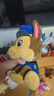 汪汪隊立大功（PAW PATROL）汪汪隊玩具毛絨全套狗狗玩偶公仔男女孩玩具旺旺隊生日禮物 經(jīng)典款-阿奇公仔【需選尺寸】 中號-坐或站高約17~22.9CM 曬單實(shí)拍圖