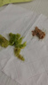 潔麗雅（Grace）新疆長(cháng)絨棉毛巾2條裝 家用柔軟純棉吸水洗臉面巾 60*30cm 蘭+米 曬單實(shí)拍圖