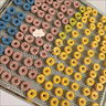 樂創(chuàng)（lecon）食品烘干機干果機商用家用水果零食肉類肉干藥材果干烘干機寵物狗狗零食不銹鋼風干機 8層【全屏款】 曬單實拍圖