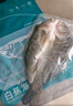 釣魚(yú)記開(kāi)背海鱸魚(yú)1斤-1.3斤 三去凈重 冷凍生鮮 魚(yú)類(lèi) 海鮮水產(chǎn) 中秋聚餐 曬單實(shí)拍圖