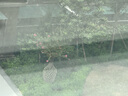 猛瑪LARK A1無(wú)線(xiàn)領(lǐng)夾麥克風(fēng) 手機直播收音麥 智能降噪MOMA猛犸a1麥克風(fēng)話(huà)筒多巴胺mini采訪(fǎng)拍攝收音器 曬單實(shí)拍圖