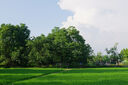 松下S9（18-40mm F4.5-6.3）套機(jī) （Panasonic）全畫幅微單 實時Lut 濾鏡直出 連接app極速分享-炫黑 曬單實拍圖