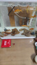 森森魚(yú)缸增氧泵水族箱氧氣泵LQE-200家用小型充氧泵4W雙孔+全套配件 曬單實(shí)拍圖