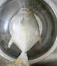 翔泰 海南金鯧魚(yú)凈重900g 2條裝  魚(yú)類(lèi)生鮮 燒烤 火鍋食材 海鮮水產(chǎn) 曬單實(shí)拍圖