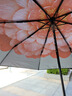 蕉下（beneunder）防紫外線遮陽傘三折雙層黑膠晴雨傘防曬傘BM664花椿 曬單實(shí)拍圖