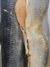 東北沙丁魚(yú)遼寧山東青魚(yú)海魚(yú)懶人之寶新鮮燒烤食材 凈重5斤共9-10條魚(yú)滿(mǎn)籽滿(mǎn)油） 曬單實(shí)拍圖