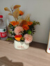 赟婭假花仿真花束綠植永生花塑料花送閨蜜女生孩朋友教師節生日禮物life陶瓷盆景+朝氣蓬勃組合 曬單實(shí)拍圖