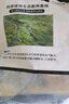 京東跑山豬生態(tài)黑豬肋排凈重4斤 新鮮速凍 煲湯烤肉食材 曬單實(shí)拍圖