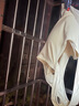 NEVER ME運(yùn)動(dòng)內(nèi)衣女高強(qiáng)度健身背心瑜伽服跑步防震防下垂聚攏外穿 曬單實(shí)拍圖