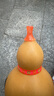 相思鳥(niǎo) 葫蘆絲C調 兒童小學(xué)生初學(xué)練習三音金絲楠竹防摔葫蘆絲樂(lè )器 曬單實(shí)拍圖