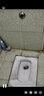 偉星 水箱沖便器 家用蹲便器水箱衛(wèi)生間蹲坑沖便器大沖力廁所馬桶1710 曬單實(shí)拍圖