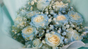 維爾斯鮮花滿天星玫瑰碎冰藍(lán)花束生日鮮花小時(shí)達(dá)全國(guó)同城配送送女友禮物 【鐘情與你】11朵碎冰藍(lán)玫瑰混搭 今日達(dá)|次日達(dá)|其他時(shí)間聯(lián)系客服 曬單實(shí)拍圖