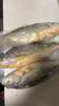 鴻順【冰鮮】黃花魚4條4斤 生鮮魚類 寧德大黃魚 地標(biāo)產(chǎn)品 源頭直發(fā) 曬單實拍圖