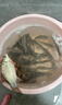 久巖碳素浮漂日夜兩用醒目高靈敏Mini LED電子漂輕口鯽魚輕量夜光魚漂 B430-20綜合/頓口明顯(鉛2g) 常亮不變色（1粒電池） 曬單實拍圖