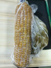 佟創(chuàng)東北黃糯玉米棒 新鮮甜糯玉米棒 代餐輕食真空包裝黏粘玉米 黃糯玉米220g*10棒/箱 曬單實拍圖