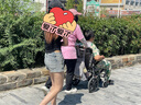 魚躍(yuwell)手動輪椅車1100A折疊老人輕便便攜式手推車旅行可上飛機 曬單實拍圖