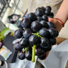 有機葡萄巨峰新鮮現摘晴王夏黑陽(yáng)光玫瑰提子應季水果孕婦兒童吃 4斤三拼 巨峰夏黑玫瑰香陽(yáng)光玫瑰 曬單實(shí)拍圖