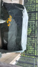 源興（YUANXING）綠銀篷布加厚防水布貨車防雨布篷布遮陽遮雨防曬油布塑料布 3*3米 曬單實(shí)拍圖
