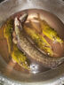谷道香臭魚(yú)餌釣鯰魚(yú)專(zhuān)用腥餌料釣魚(yú)小藥強效誘魚(yú)添加劑野釣黑坑小藥全套 一瓶【專(zhuān)釣大鯰魚(yú)】 曬單實(shí)拍圖