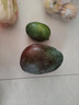 【大臉芒】京喜加四川凱特芒果 帶箱兩斤裝200g+ 曬單實(shí)拍圖