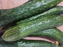 新鮮黃瓜現(xiàn)摘現(xiàn)發(fā)新鮮蔬菜生鮮可生吃涼拌炒菜刺黃瓜 凈重2500g 5斤 單根≥200g 曬單實拍圖